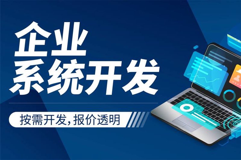 上海软件开发公司：行业风向标与技术革新者